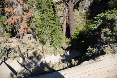 DSC_3851 (Large).JPG